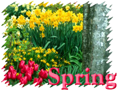 Spring